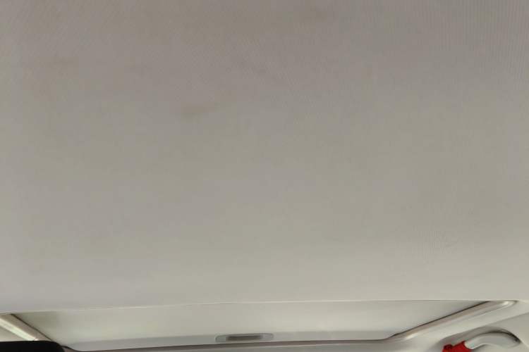 Used Soueast DX5 2019 1.5L Manual Luxury Version Headliner