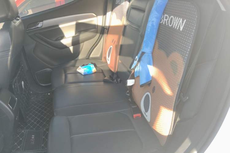 Used Soueast DX5 2019 1.5T CVT Luxury Version Left Rear Seat