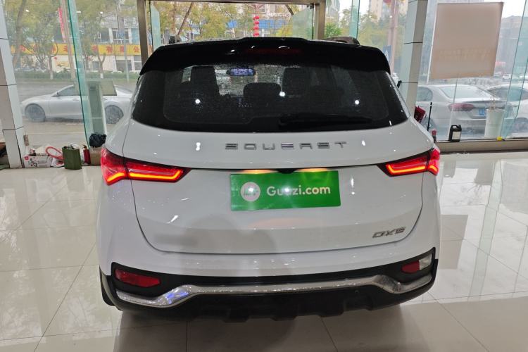 Used Soueast DX5 2019 1.5T CVT Luxury Model Rear