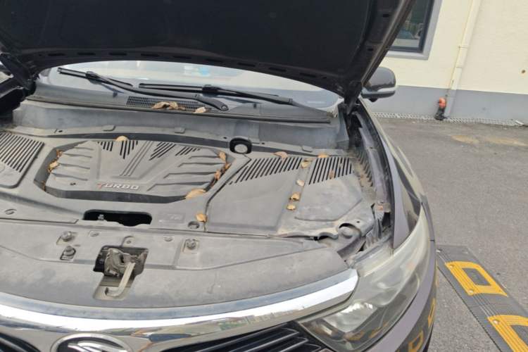 Used Soueast DX7 2015 1.5T Automatic Prestige Model Engine Bay Left