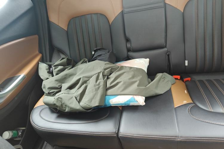Used Soueast DX7 2015 1.5T Automatic Prestige Model Left Rear Seat