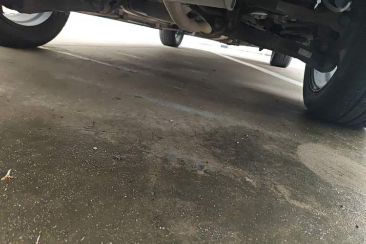 Used Soueast DX7 2015 1.5T Manual Luxury Model Chassis Rear
