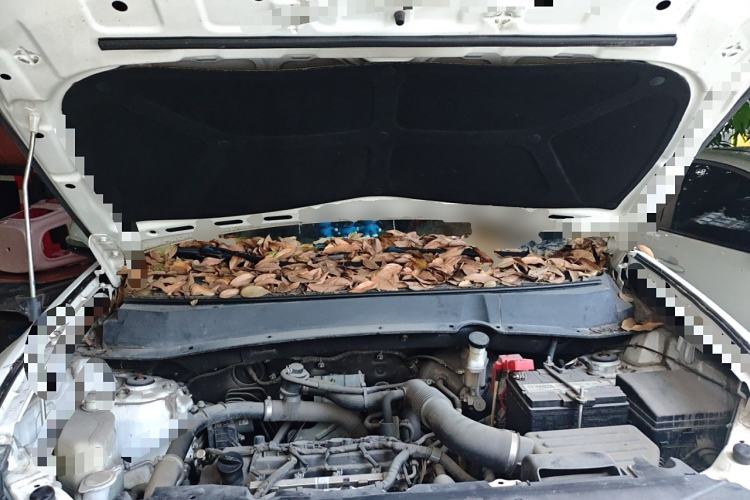 Used Soueast DX7 2015 1.5T Manual Luxury Model Engine Bay
