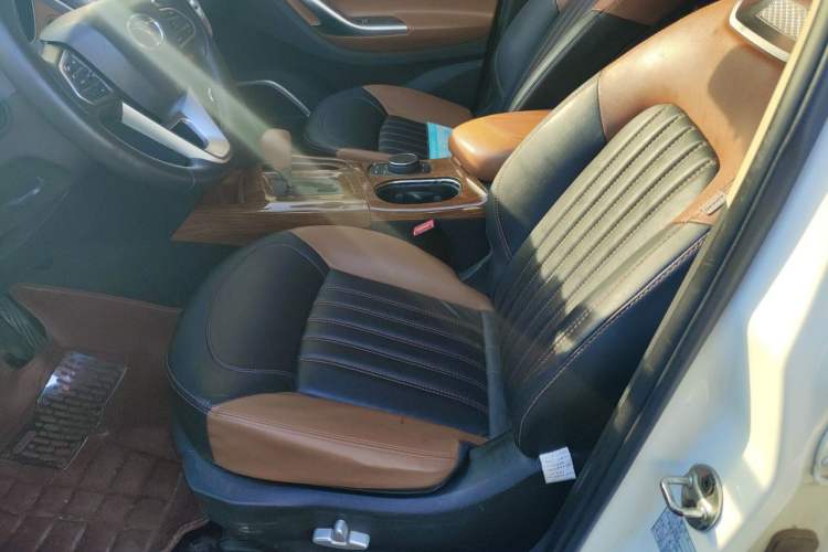 Used Soueast DX7 2015 1.5T Automatic Luxury Model Left Front Seat