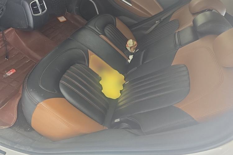 Used Soueast DX7 2015 1.5T Automatic Luxury Model Left Rear Seat