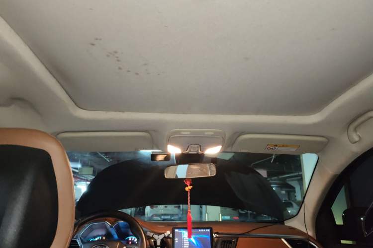 Used Soueast DX7 2016 1.5T Manual Triumph Edition Headliner
