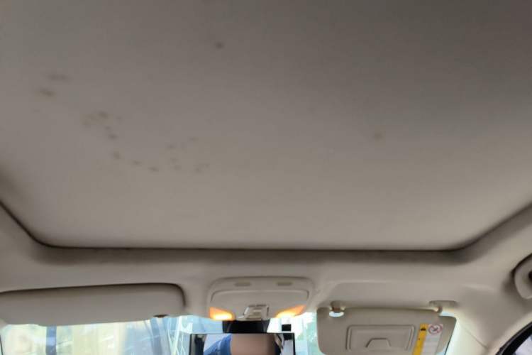 Used Soueast DX7 2016 1.5T Manual Triumph Edition Headliner