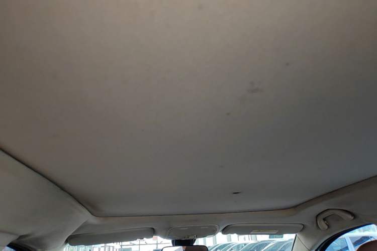 Used Soueast DX7 2016 1.5T Manual Triumph Edition Headliner