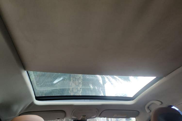 Used Soueast DX7 2016 1.5T Manual Triumph Edition Headliner