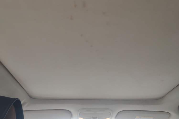 Used Soueast DX7 2016 1.5T Manual Triumph Edition Headliner