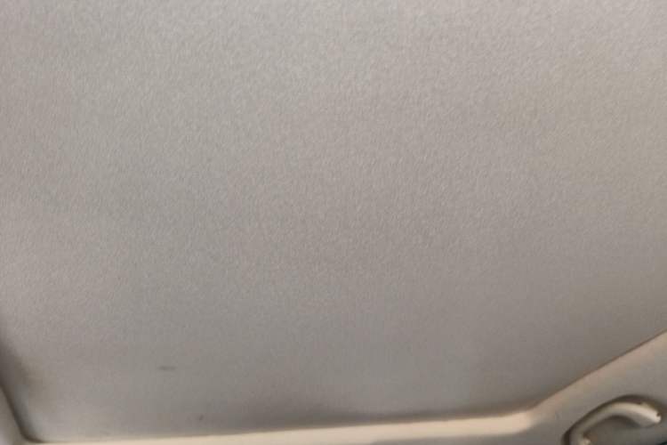 Used Soueast DX7 2016 1.5T Manual Triumph Edition Headliner
