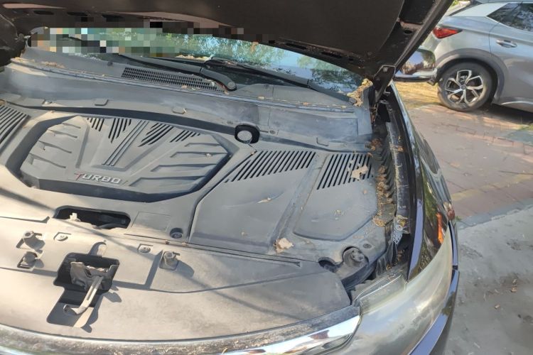 Used Soueast DX7 2017 1.5T Automatic Luxury Model Engine Bay Left