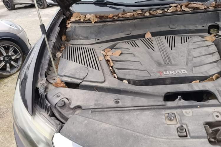 Used Soueast DX7 2017 1.5T Automatic Glory Edition Engine Bay Right