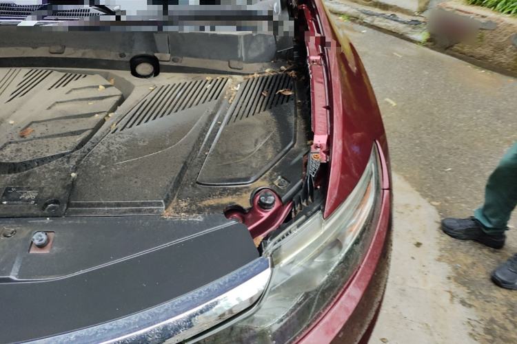 Used Soueast DX7 2017 1.5T Automatic Glory Edition Engine Bay Left
