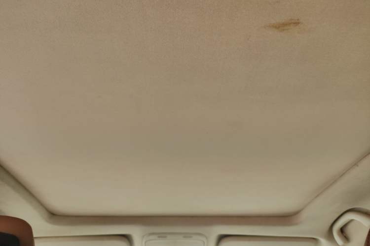 Used Soueast DX7 2017 1.5T Manual Triumph Edition Headliner