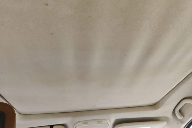 Used Soueast DX7 2018 1.5T Automatic Glory Edition Headliner