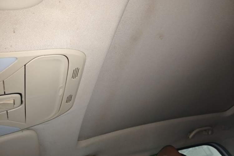 Used Soueast DX7 2018 1.5T Automatic Glory Edition Headliner