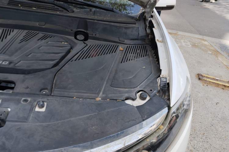 Used Soueast DX7 2019 1.5T Automatic Smart Connect Flagship Edition China VI Standard Engine Bay Left