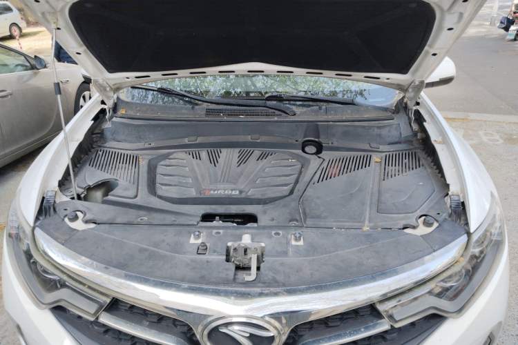 Used Soueast DX7 2019 1.5T Automatic Smart Connect Flagship Edition China VI Standard Engine Bay