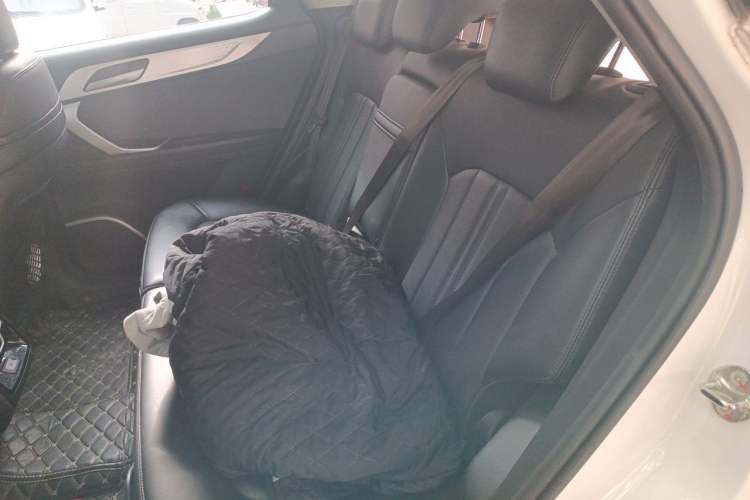 Used Soueast DX7 2019 1.5T Automatic Smart Connect Flagship Edition China VI Standard Left Rear Seat