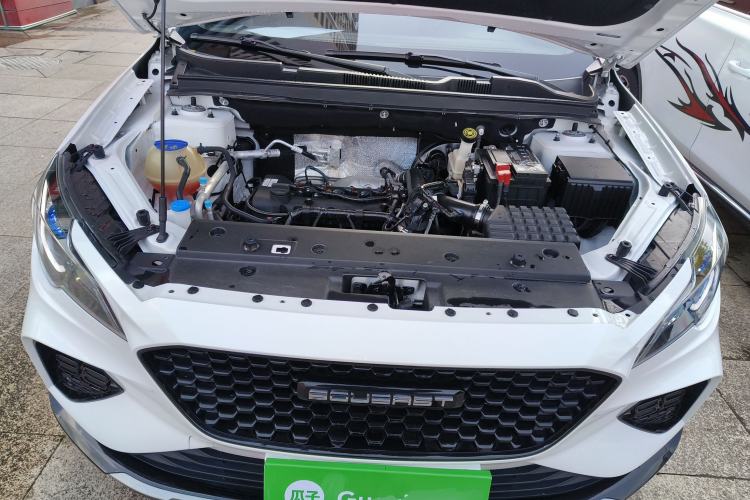 Used Soueast DX8S 2022 1.5T DCT Chieftain Edition 7-Seater Engine Bay