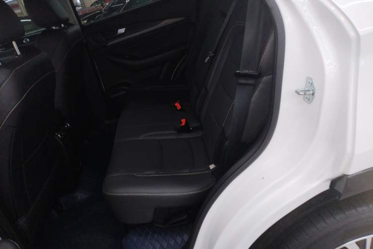 Used Soueast DX8S 2022 1.5T DCT Chieftain Edition 7-Seater Left Rear Seat