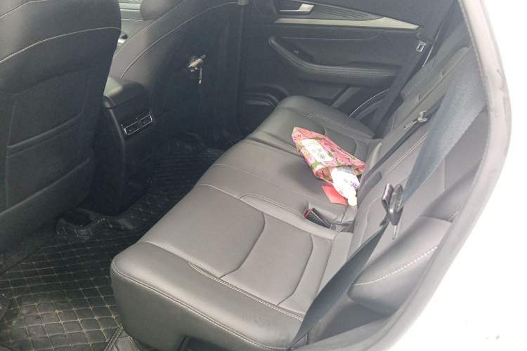 Used Soueast DX8S 2022 1.5T DCT Long-Range Version 5 Seats Left Rear Seat