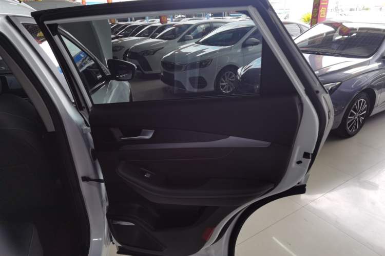 Used Soueast DX8S 2022 1.5T DCT Long-Range Version 7 Seats Right Rear Door Interior