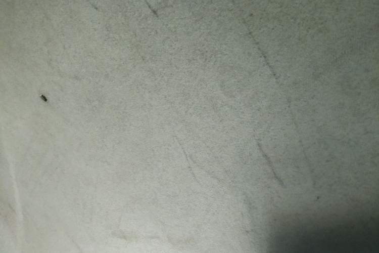 Used SRM Haoyun 1 2021 III Entrepreneurial Headliner