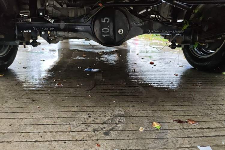Used SRM Haoyun 2022 Standard Passenger Bus Chassis Rear