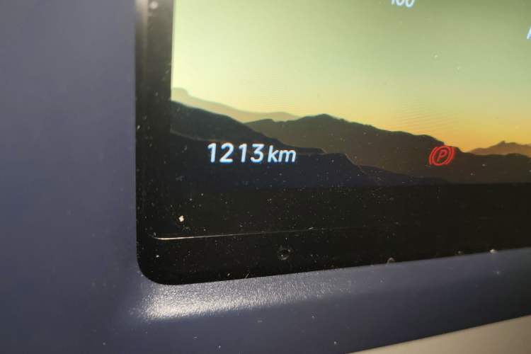 Used SRM New Energy E3 2025 Fudi 310KM Practical Van Odometer Close Up