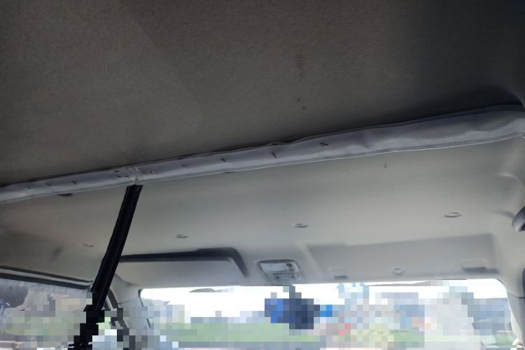 Used SRM New Energy E3 2025 Fudi 310KM Practical Passenger Vehicle Headliner