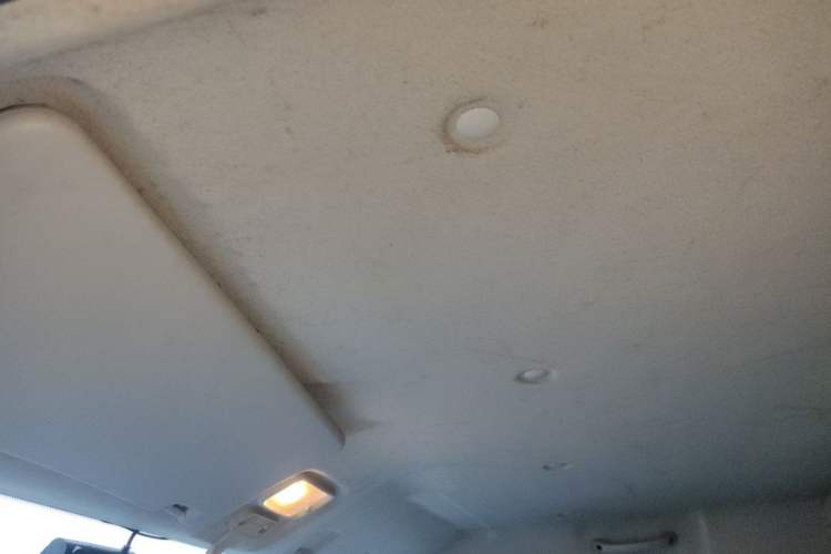 Used SRM New Energy E3 2025 Fudi 310KM Practical Passenger Vehicle Headliner