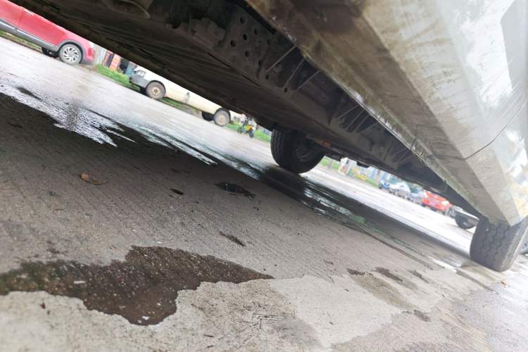 Used SRM New Energy E3L 2024 Standard 6-Seater Bus Chassis Rear Right