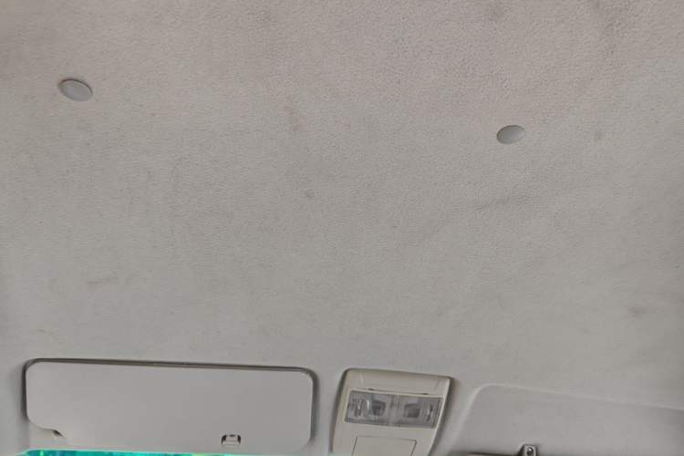 Used SRM New Energy Haishi EV 2021 Standard Model Headliner