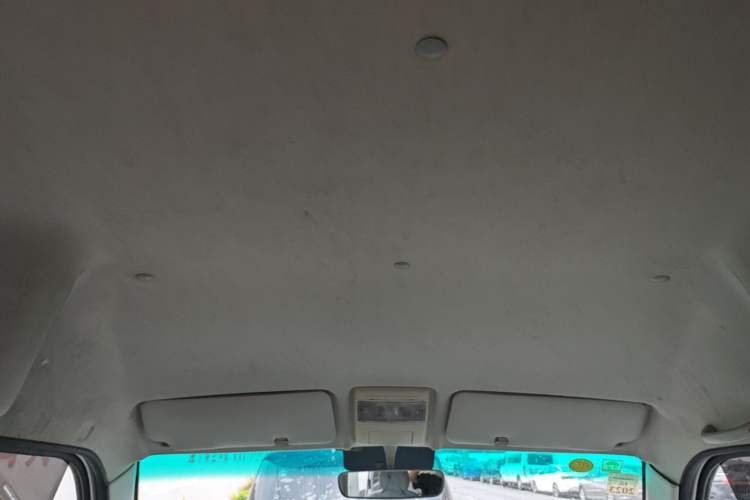 Used SRM New Energy Haishi EV 2021 Standard Model Headliner