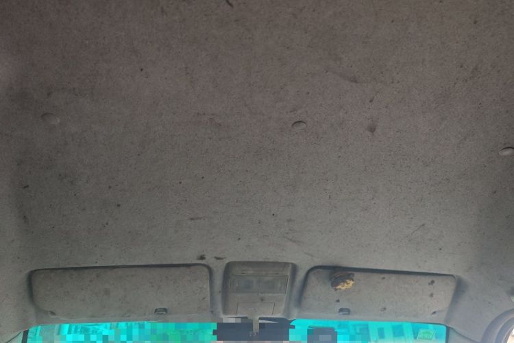 Used SRM New Energy Haishi EV 2021 Standard Model Headliner