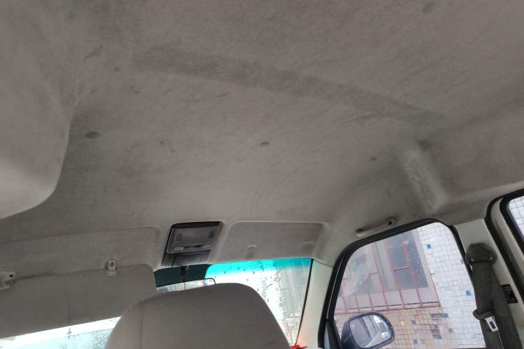 Used SRM New Energy Xiaohaishi EV 2019 Standard Model Headliner