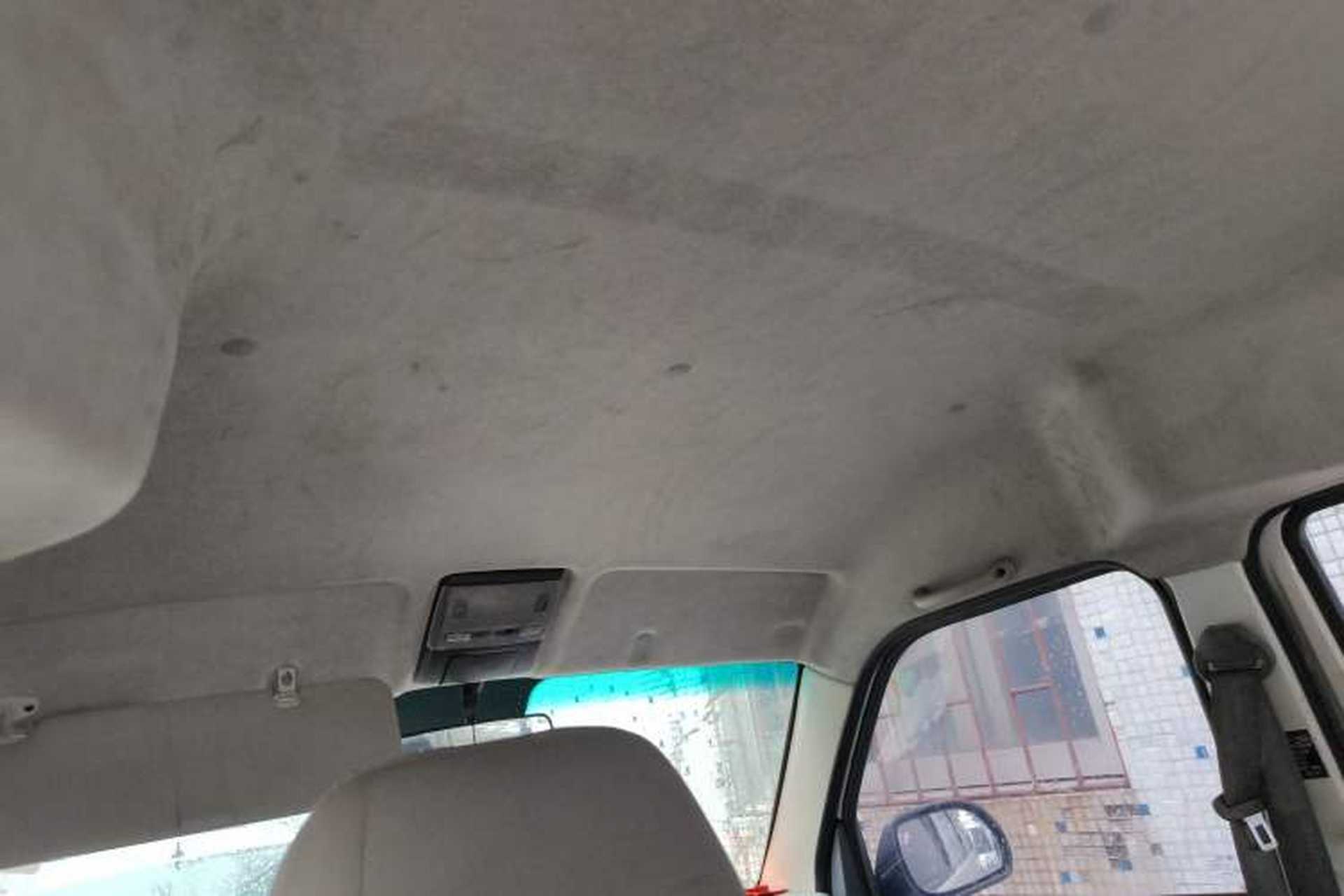Used SRM New Energy Xiaohaishi EV 2019 Standard Model Headliner