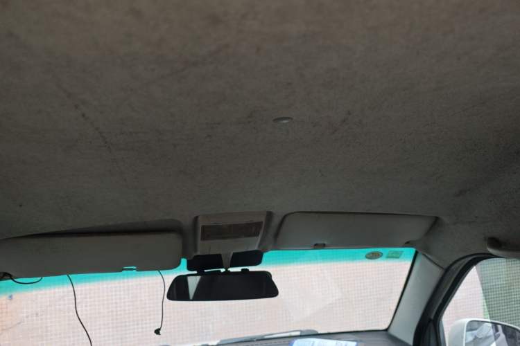 Used SRM New Energy Xiaohaishi EV 2019 Standard Model Headliner