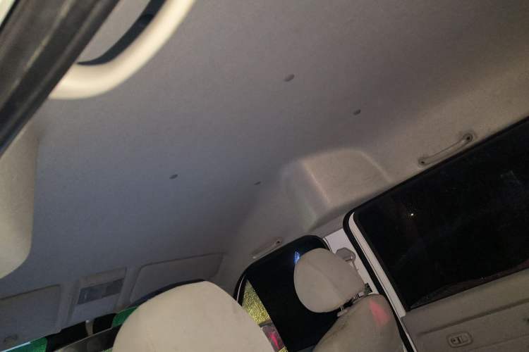 Used SRM New Energy Xiaohaishi EV 2019 Standard Model Headliner