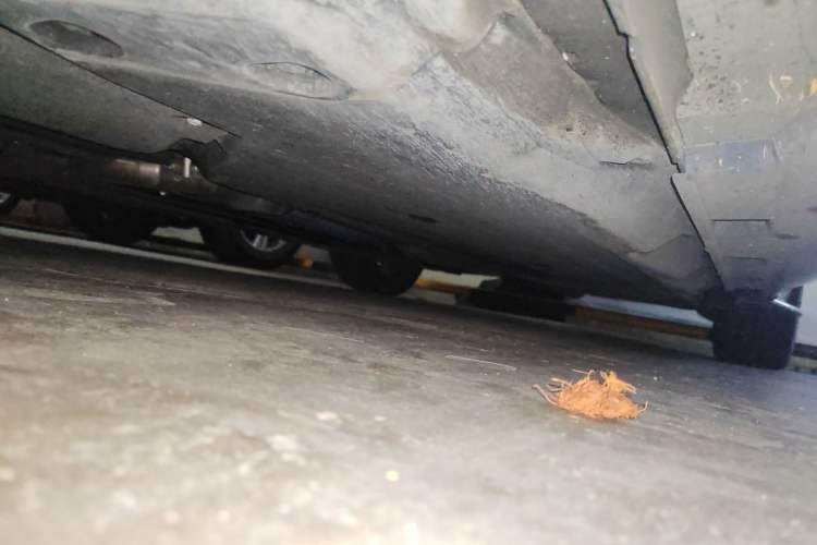 Used Subaru BRZ 2022 2.4L Manual Version Chassis Front Left
