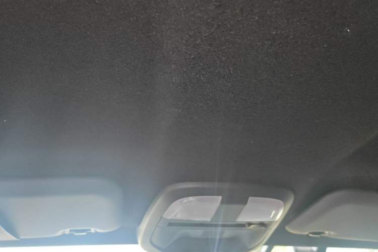 Used Subaru BRZ 2022 2.4L Manual Version Headliner