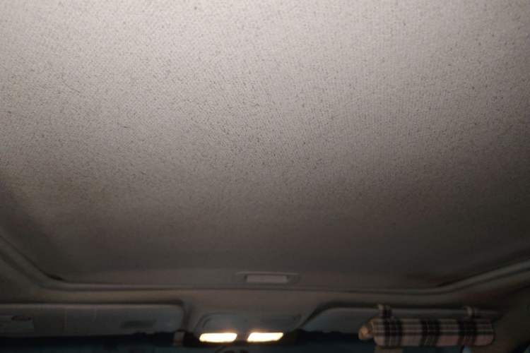 Used Subaru Forester 2010 2.5XT Luxury Navigation Edition Headliner