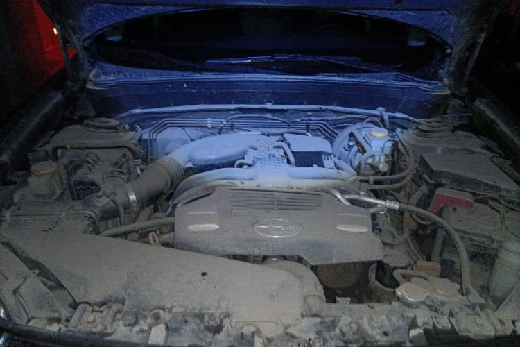 Used Subaru Forester 2011 2.5XS Automatic Luxury Edition Engine Bay