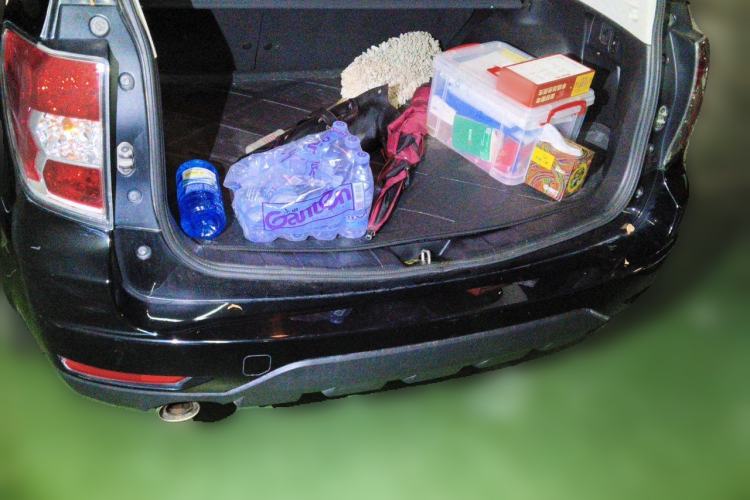 Used Subaru Forester 2011 2.5XS Automatic Luxury Edition Trunk