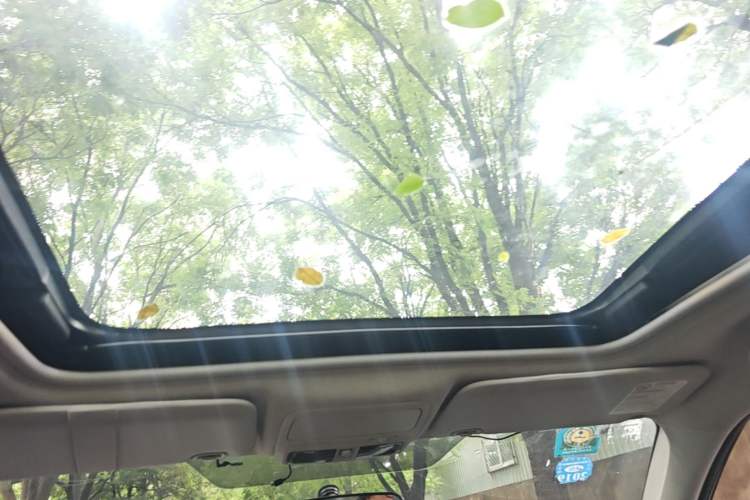Used Subaru Forester 2012 Classic 2.5XS Automatic Luxury Edition Headliner