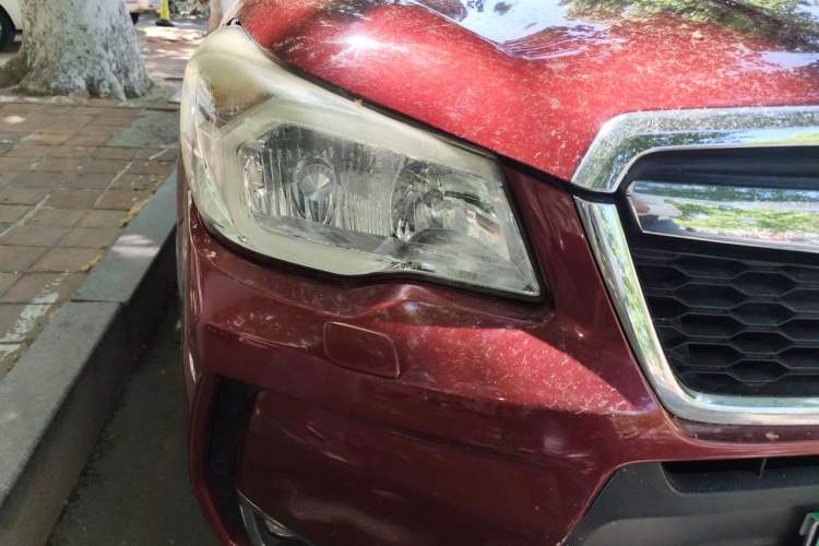 Used Subaru Forester 2013 2.5i Automatic Prestige Edition Right Front Headlight