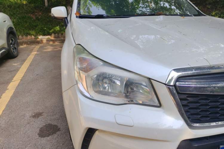 Used Subaru Forester 2013 2.5i Automatic Prestige Edition Right Front Headlight