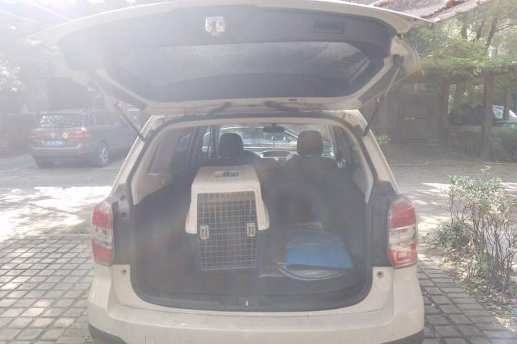 Used Subaru Forester 2014 2.0i Automatic Luxury Edition Trunk